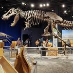 Orlando Science Center