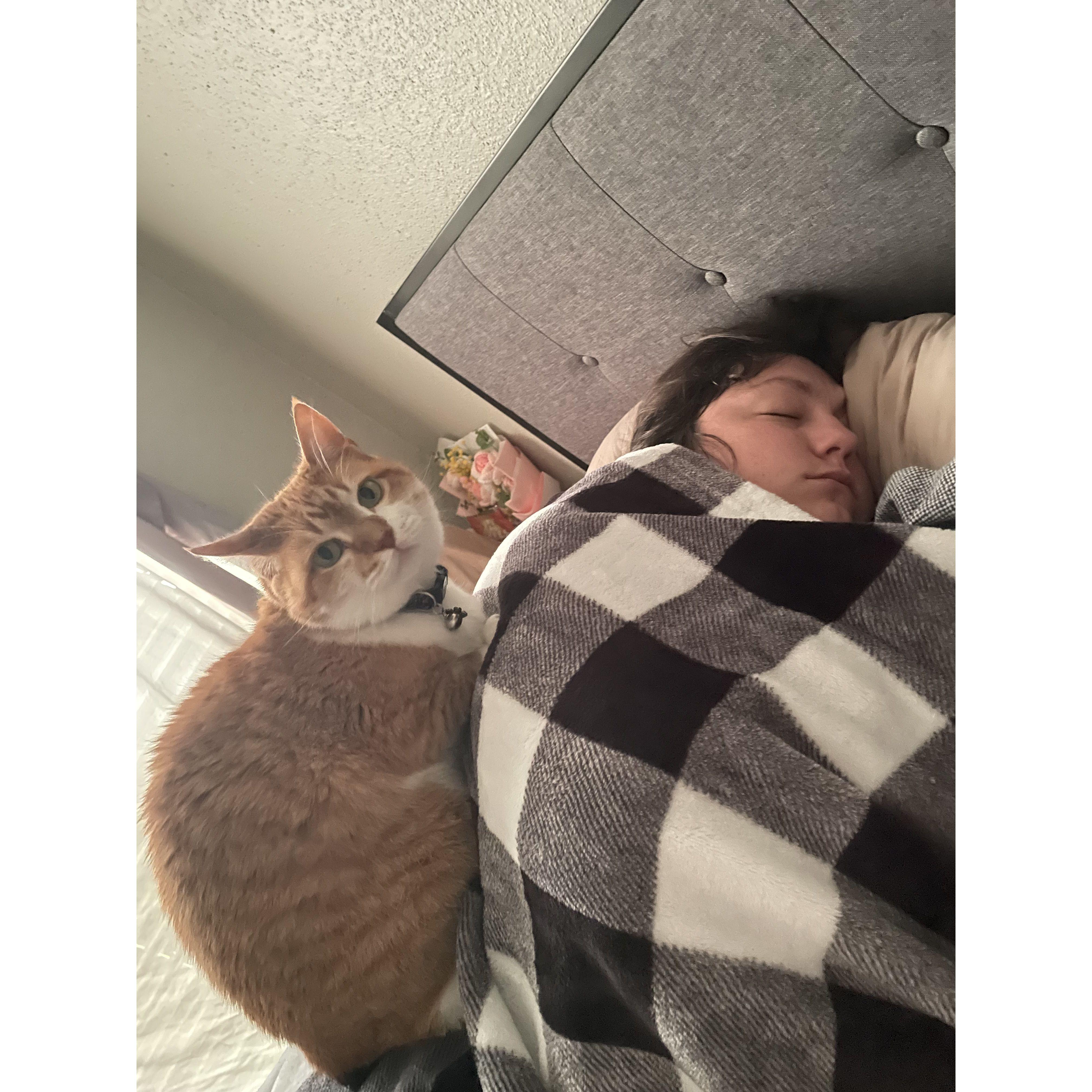 Loafing on Carissa while she sleeps is one of Claire's absolute favorite things to do. Claire LOVES when Carissa takes a nap, and she gets to loaf on Carissa. -Kelly