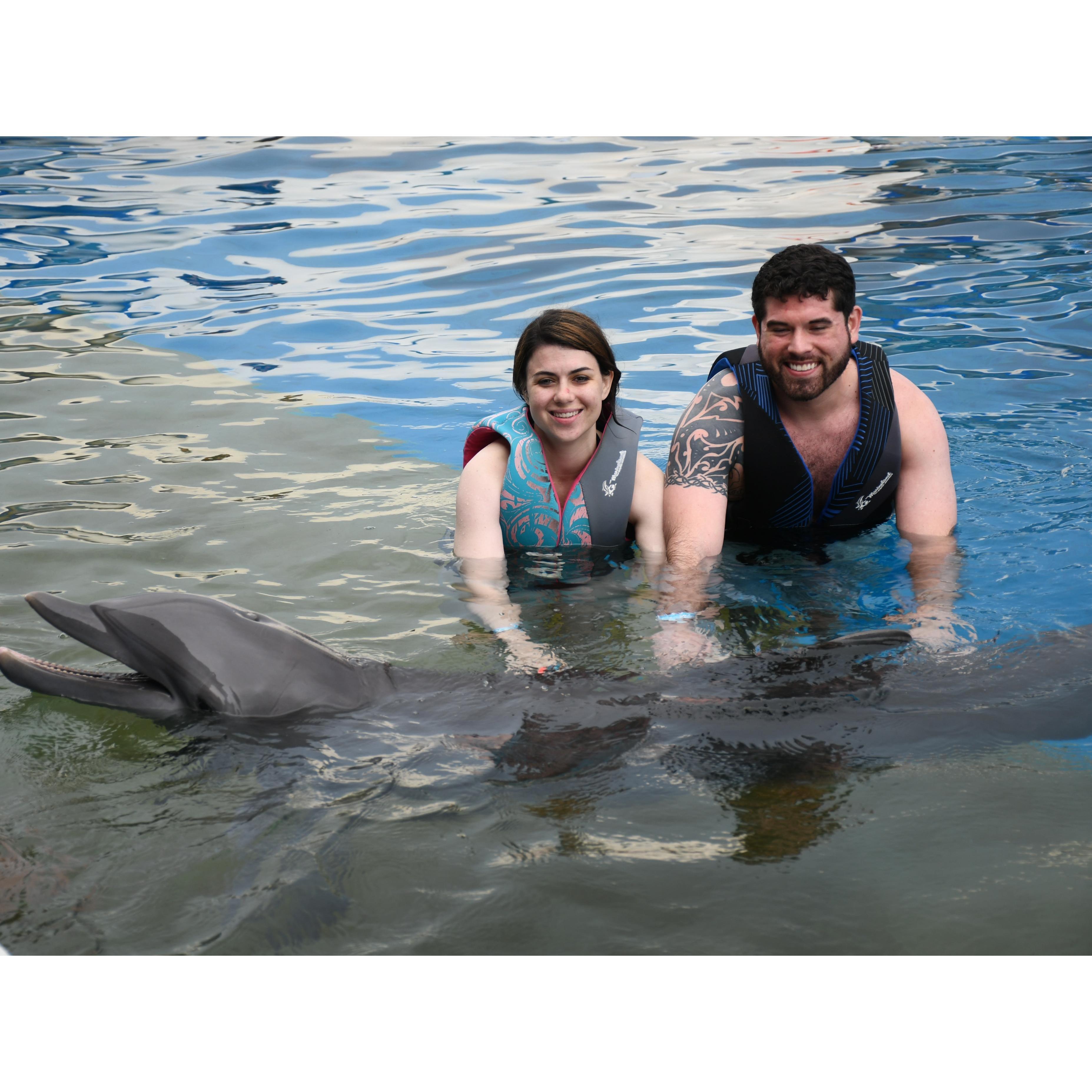 Swimming with the dolphins in FL! Best experience of our lives!