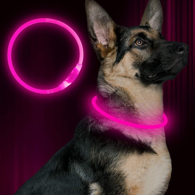 BSEEN LED Dog Collar, USB Rechargeable, Glowing pet Dog Collar for Night Safety, Fashion Light up Collar for Small Medium Large Dogs (Pink)