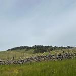 Napa Valley
