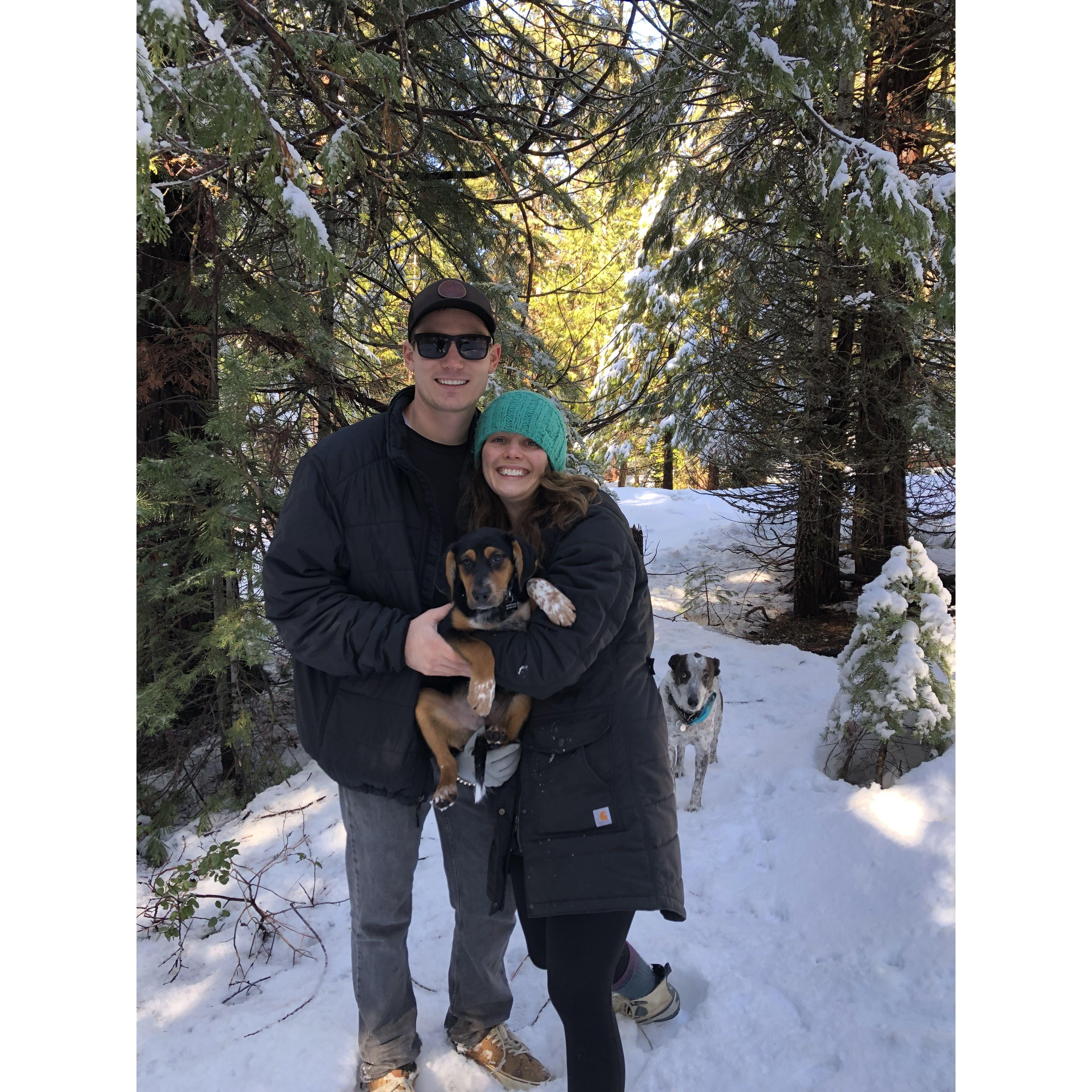 Dax's first snow trip on New Years Day 2023 Strawberry, CA
