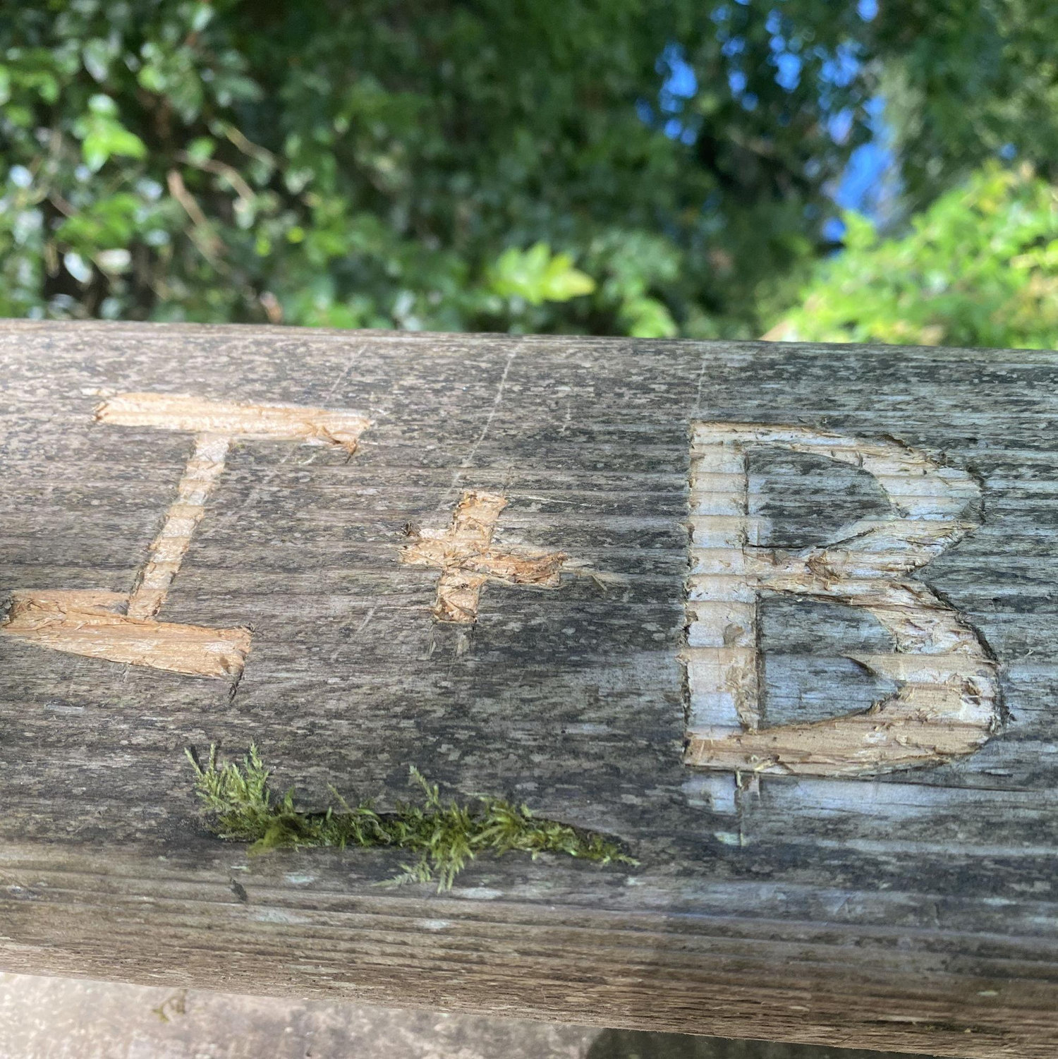 Carved our initials on the bridge of one of our hikes