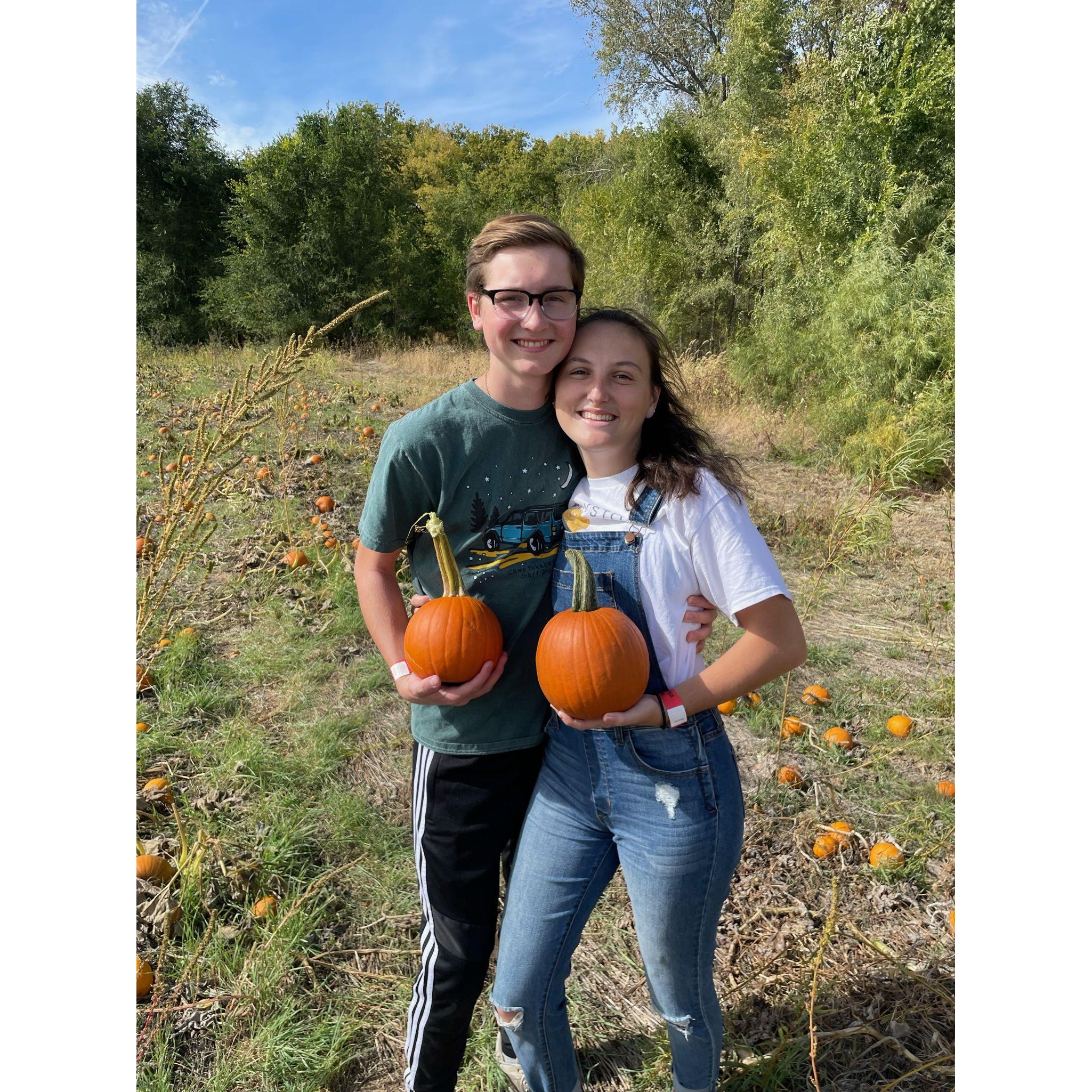 Pumpkin Patch!