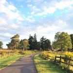 Knox Farm State Park