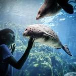 Portland Zoo