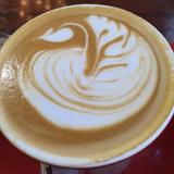 Dune Coffee Roasters
