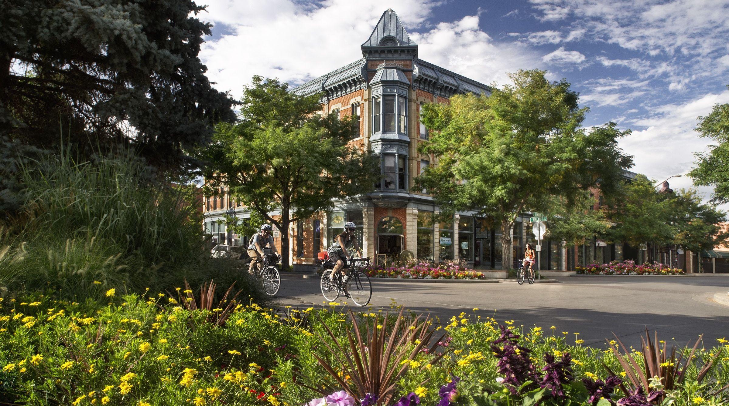 The Wedding Website of Salme Neubert and Derrick Torba