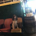 8th Wonder Brewery