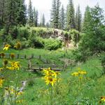 Hike(s) #3: Lincoln National Forest Trails
