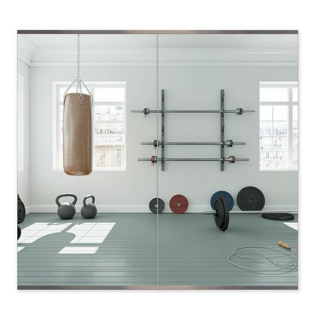 Honyee Home Gym Mirror, 48" x 24" x 2PCS, Wall Mounted Frameless Mirror with Polished Edge, Large Activity Mirror for Home Gym/Yoga Room/Dancing Room and More (48" x 24", 2PCS)