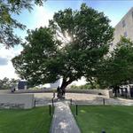 Oklahoma City National Memorial & Museum