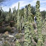 Arizona-Sonora Desert Museum