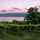 Finger Lakes Wine Trails
