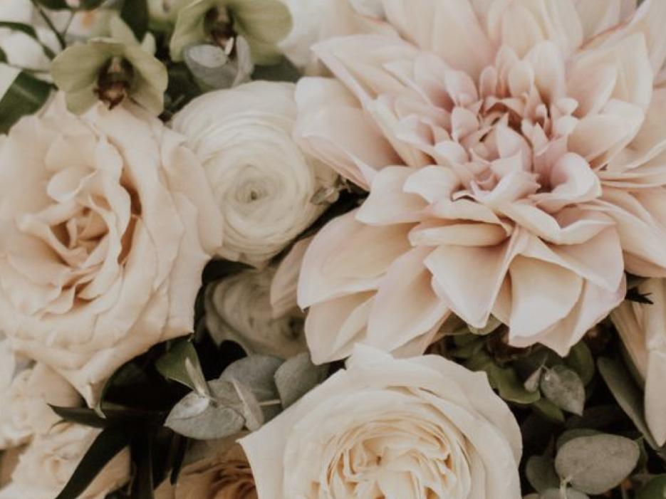The Wedding Website of Alyssa Perez and Henry Groh
