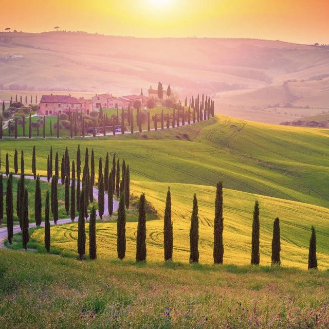 Tuscan Wine Tour