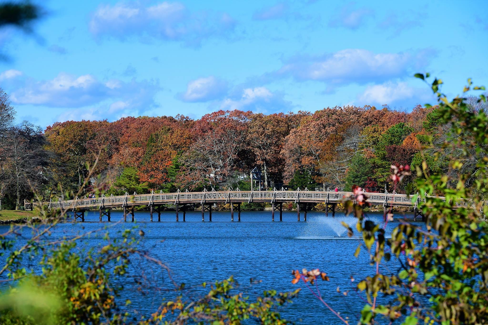 The Wedding Website of Jane Clark and Joseph Haley
