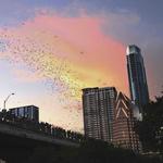 Ann W. Richards Congress Avenue Bridge