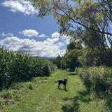 Quiet Path Trail & Loop