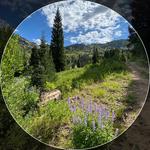 Take a Hike