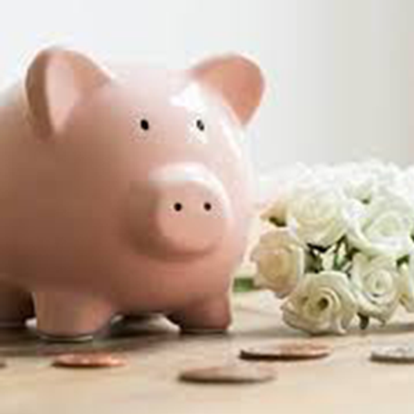Our Piggy Bank