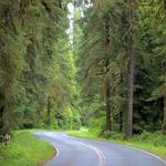 Hoh Rain Forest Visitor Center