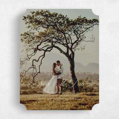 Beige Ticket Wedding Save the Date - Pesco Photo
