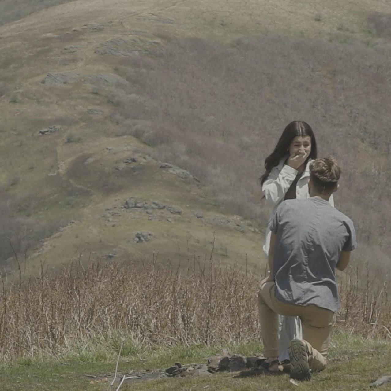 The proposal!