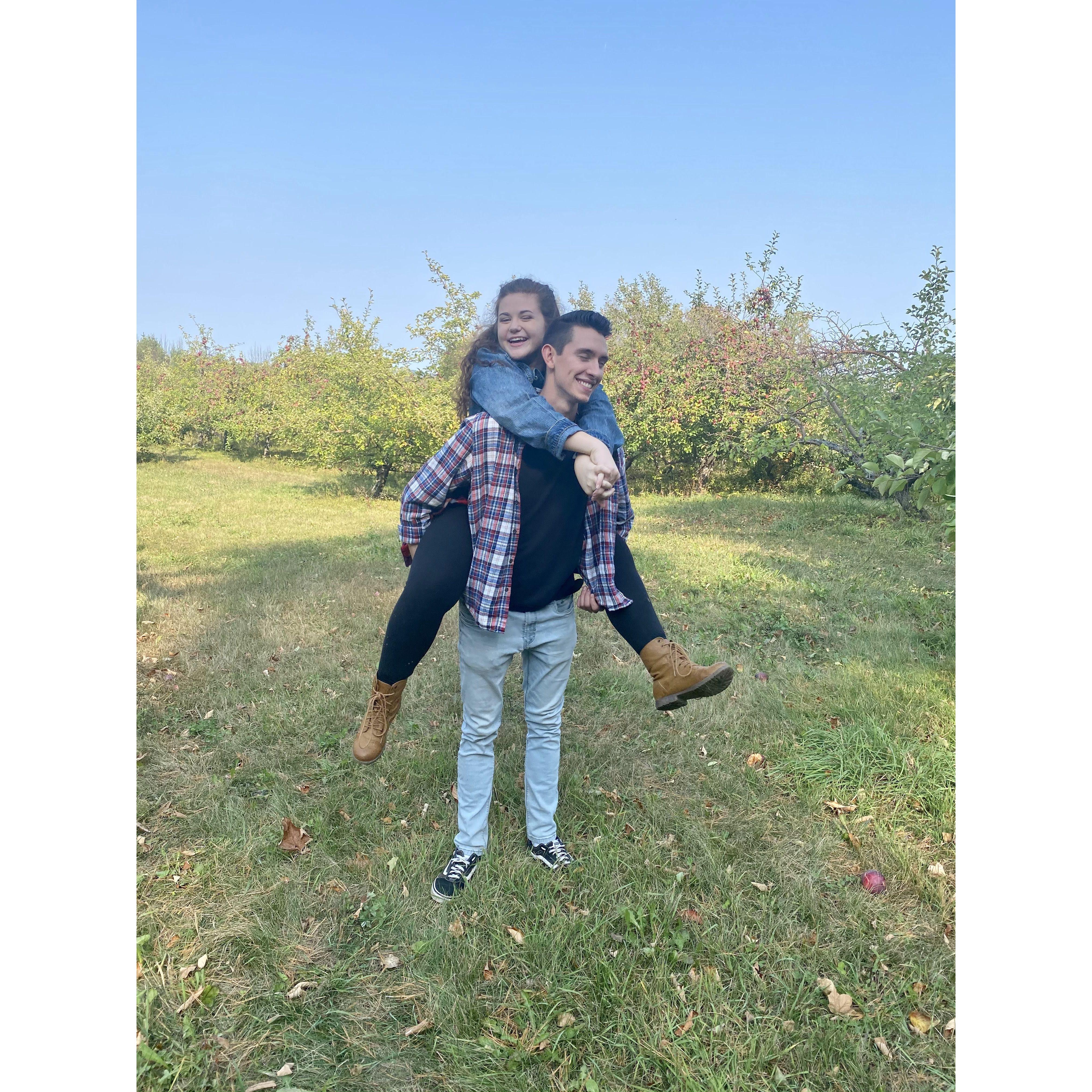 Apple Farm, fall 2020