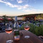 Beneduce Vineyards