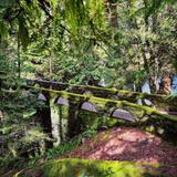 Whatcom Falls Park