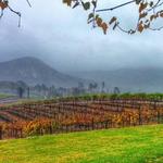 Orfila Vineyards and Winery