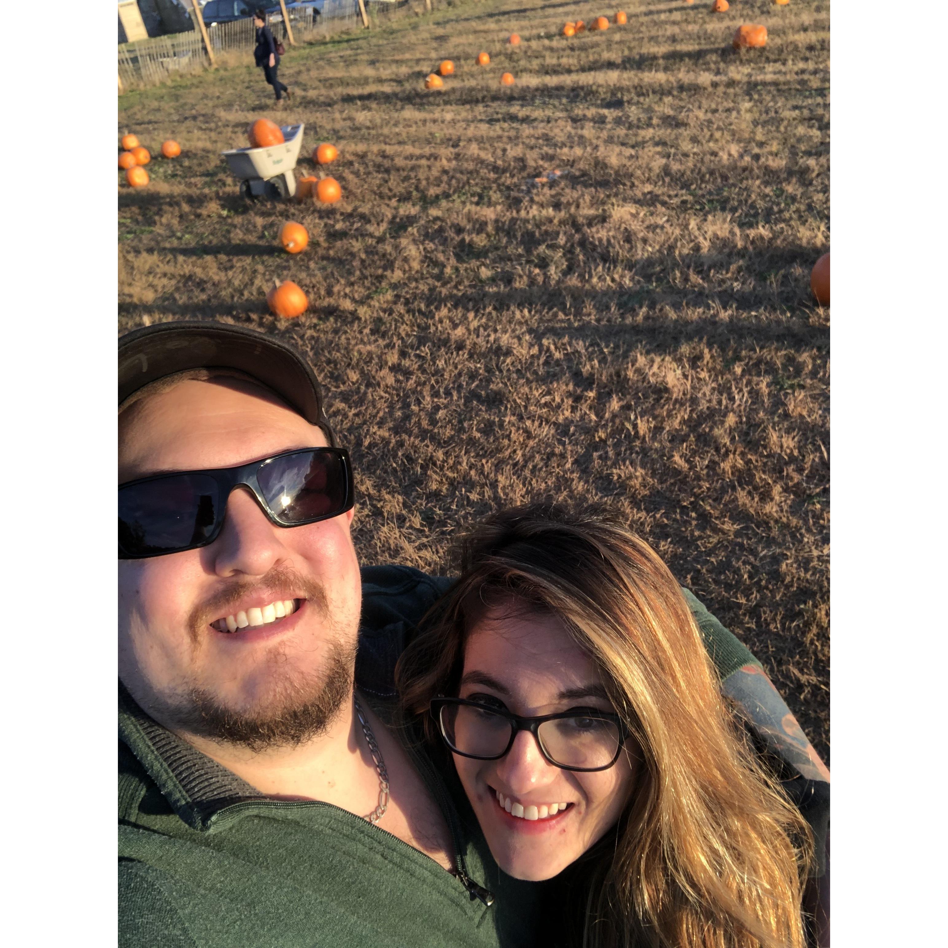 Pumpkins Pumpkins Pumpkins