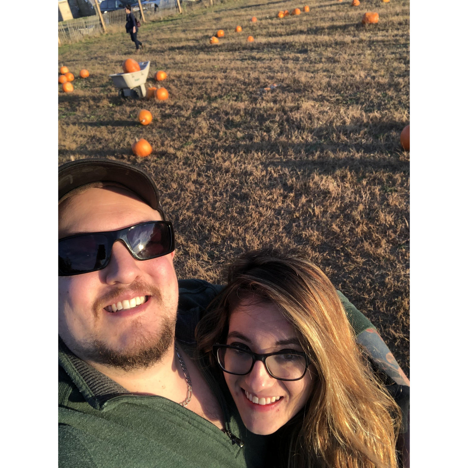 Pumpkins Pumpkins Pumpkins