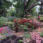 Mead Botanical Garden