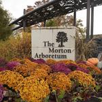 The Morton Arboretum
