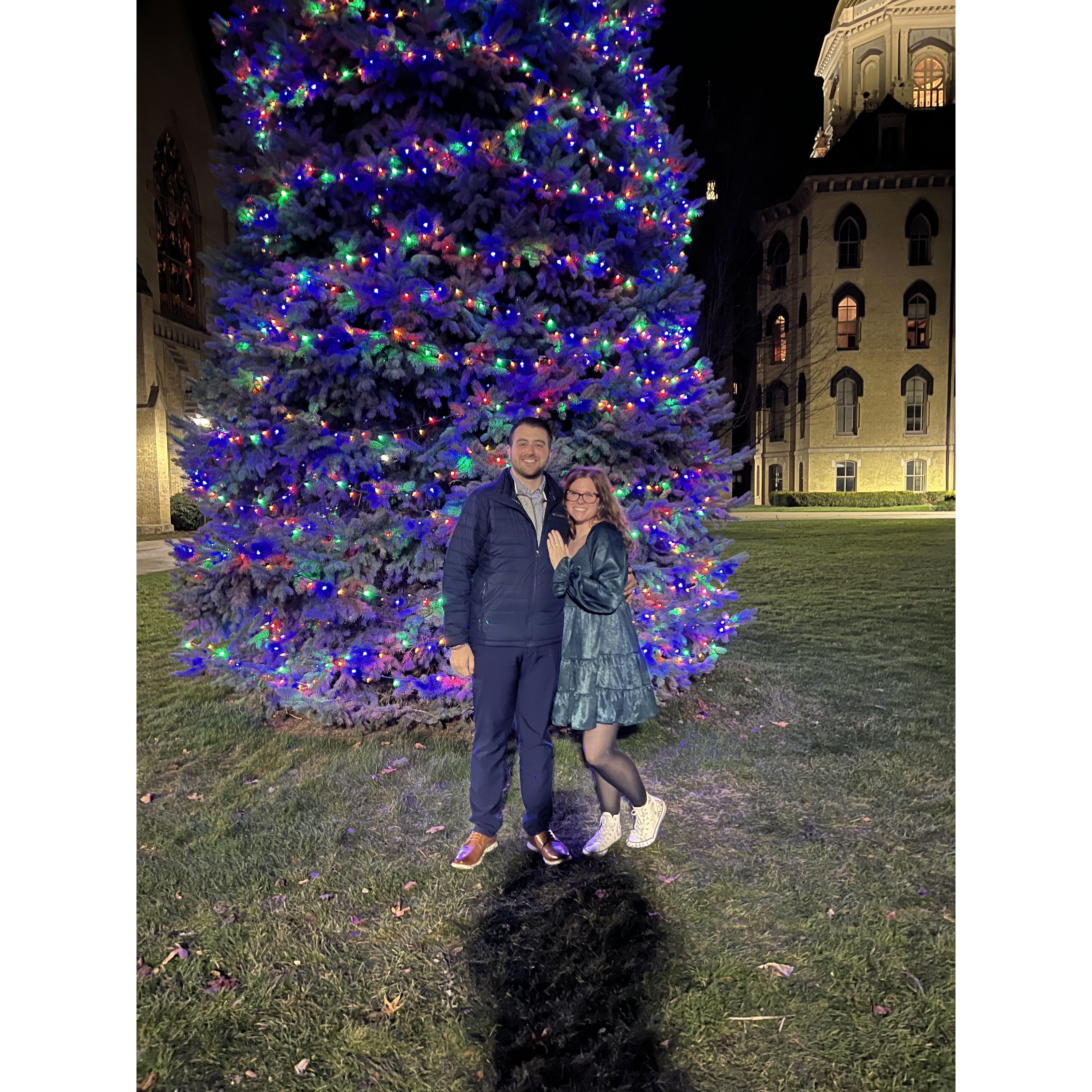 This Christmas tree is outside of the Basilica at Notre Dame.