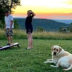 Yard Games