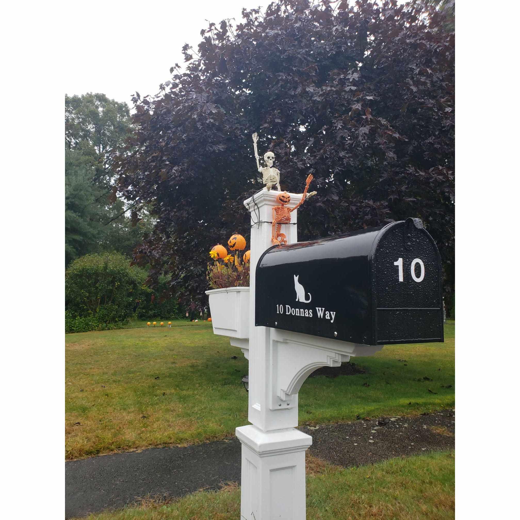 Chapter Three: Moving