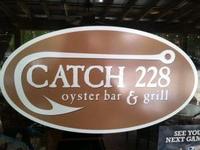 Catch 228