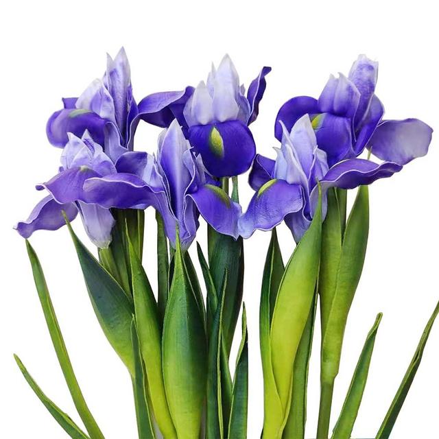 Mona's 6 Pcs Artificial Iris Flower Fake Real Touch Purple Flower Wedding Home Decor Flower Arrangements