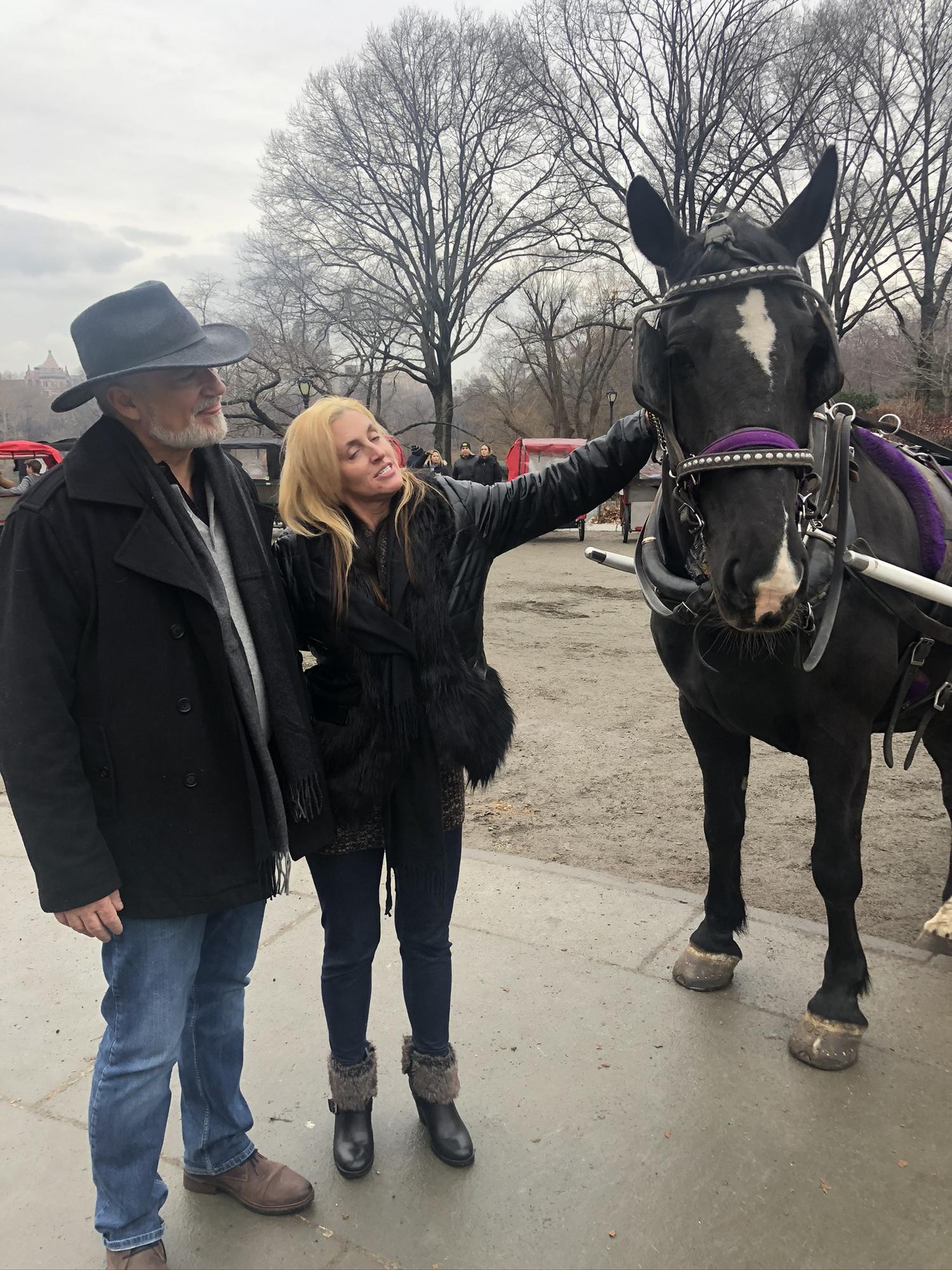 NYC carriage ride in Central Park