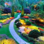The Butchart Gardens