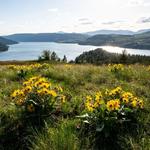 Kalamalka Lake Provincial Park