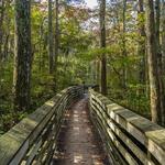 First Landing State Park