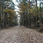 Rock Island Greenway