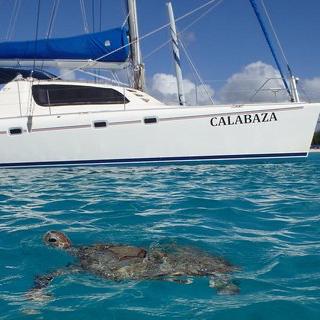 Private Catamaran Cruise from Bridgetown with Lunch