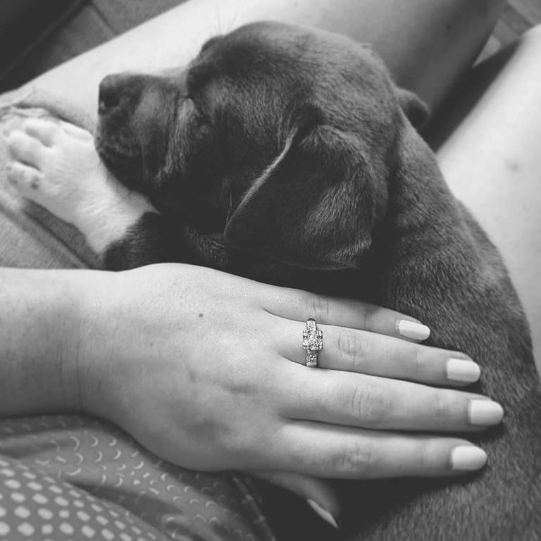 Our engagement announcement, featuring Thor, the engagement puppy.