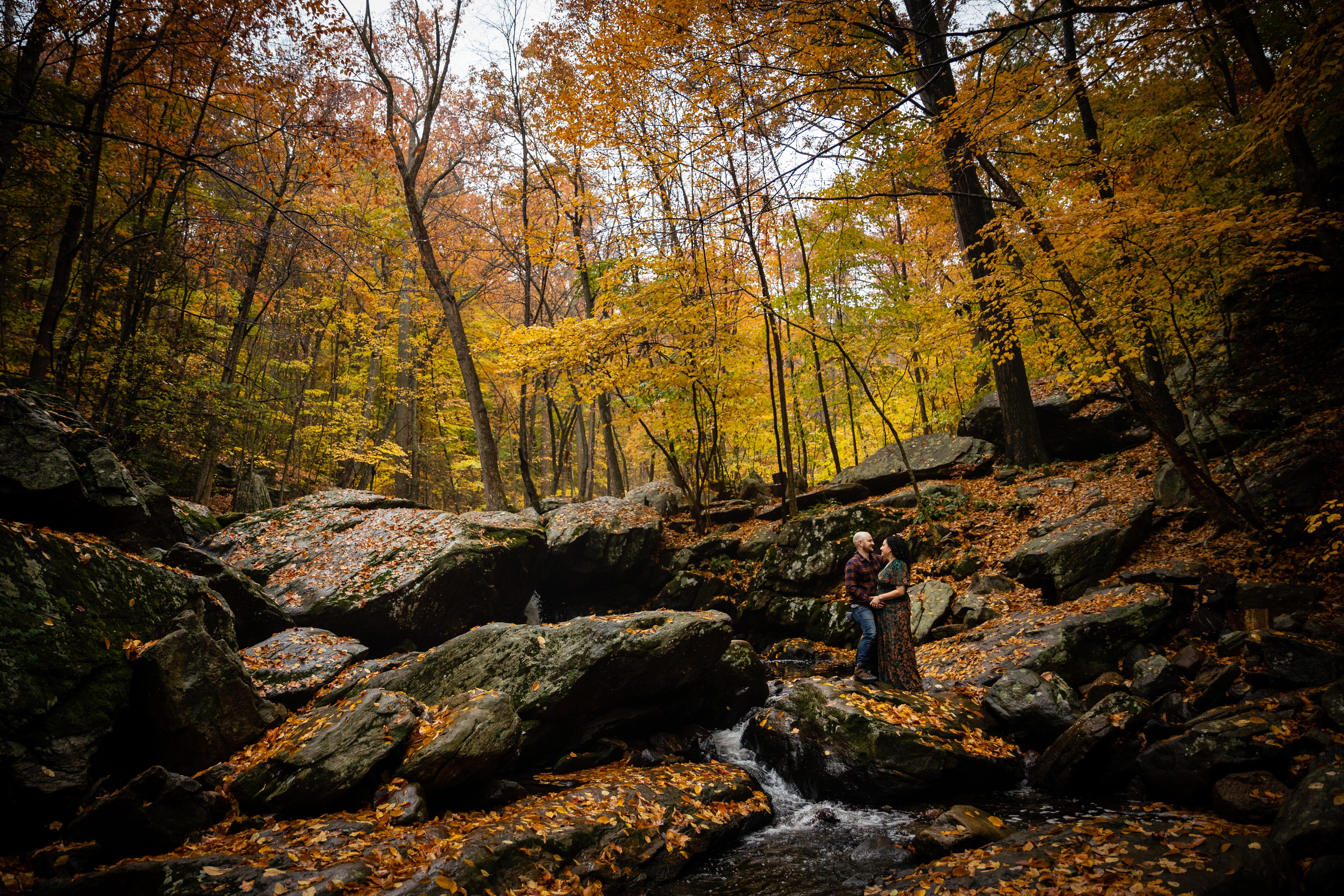 The Wedding Website of Raquel Grant and Don Scherr