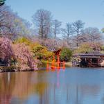 Brooklyn Botanic Garden